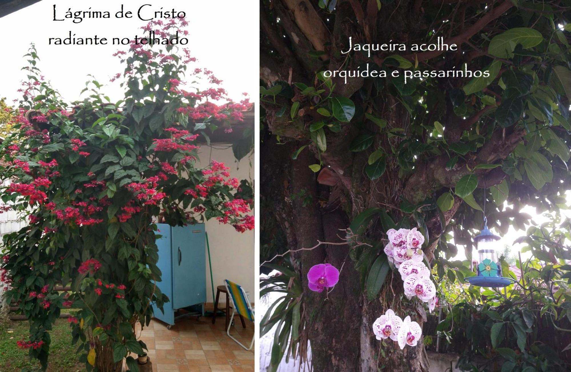Chalé das Princesas Ilhabela Esterno foto
